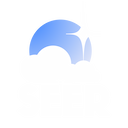 SEER Logo